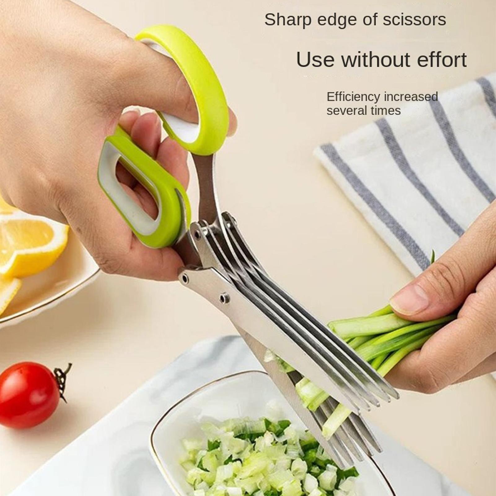 Herb Scissors 5 Blade Stainles - Herb Scissors 5 Blade review and price