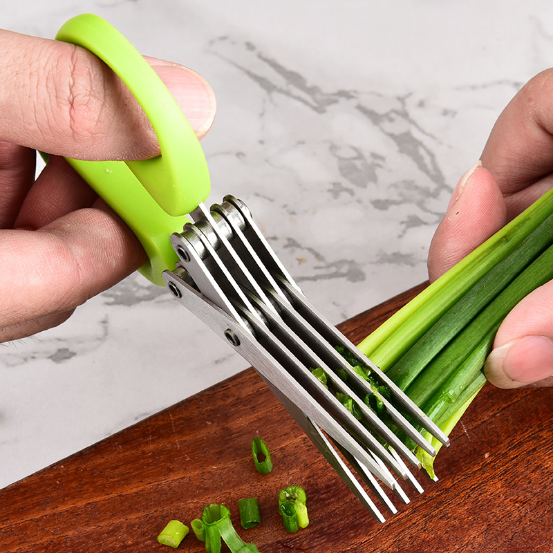 Stainless Steel Multi Layer 3  - Herb Scissors 5 Blade review and price