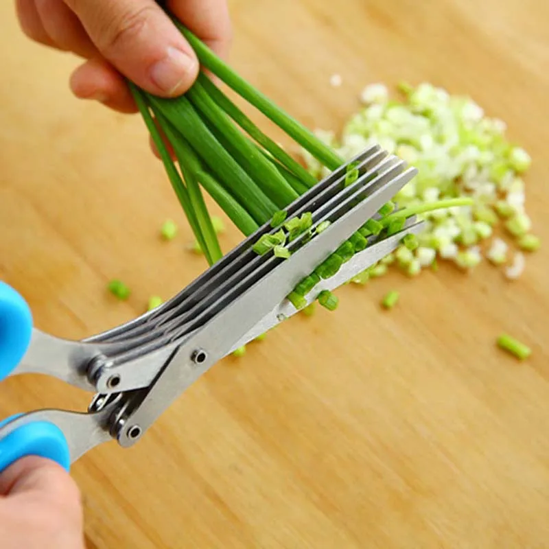 5 Layers Blade Scallion Scisso - Herb Scissors 5 Blade review and price