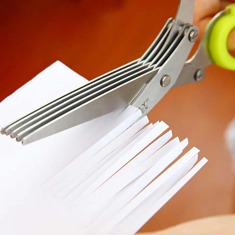 5 Layers Blade Scallion Scisso - Herb Scissors 5 Blade review and price