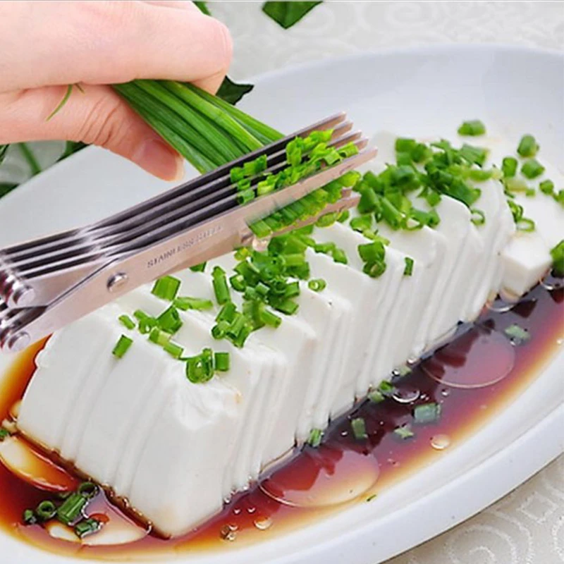5 Layers Blade Scallion Scisso - Herb Scissors 5 Blade review and price