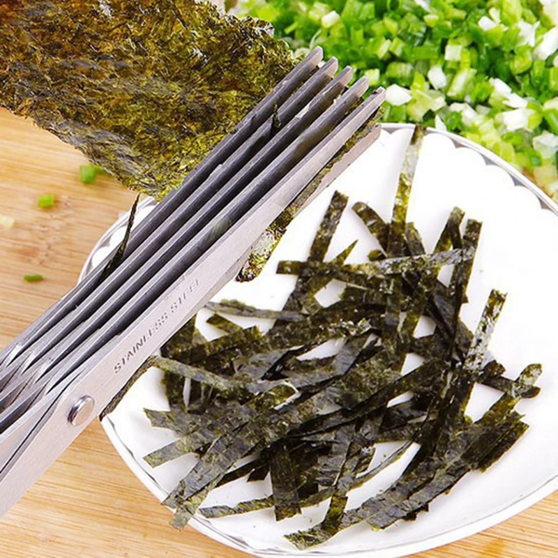 5 Layers Blade Scallion Scisso - Herb Scissors 5 Blade review and price