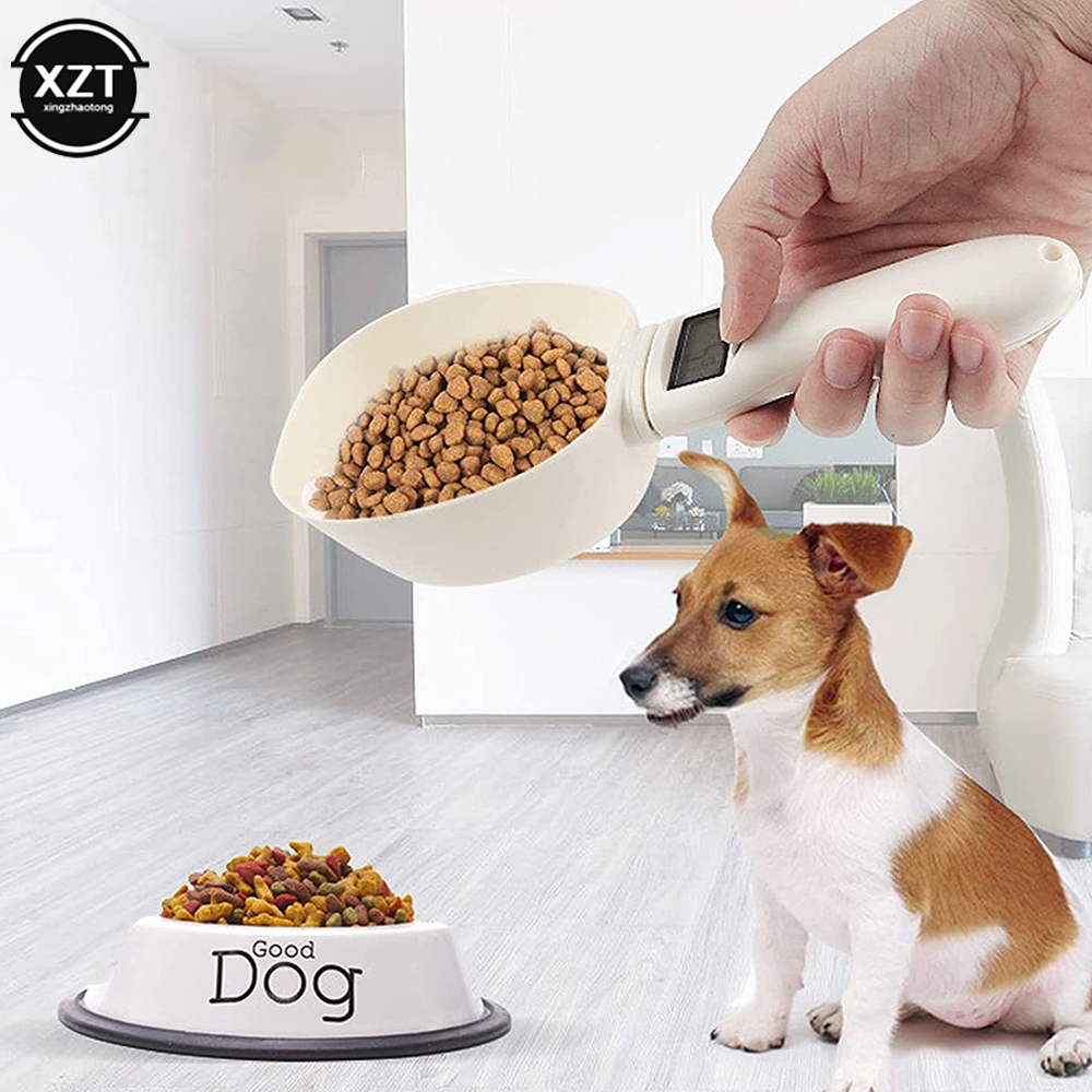 Large Size Scale Weighing Spoo - Kitchen Gadgets Under 500 review and price