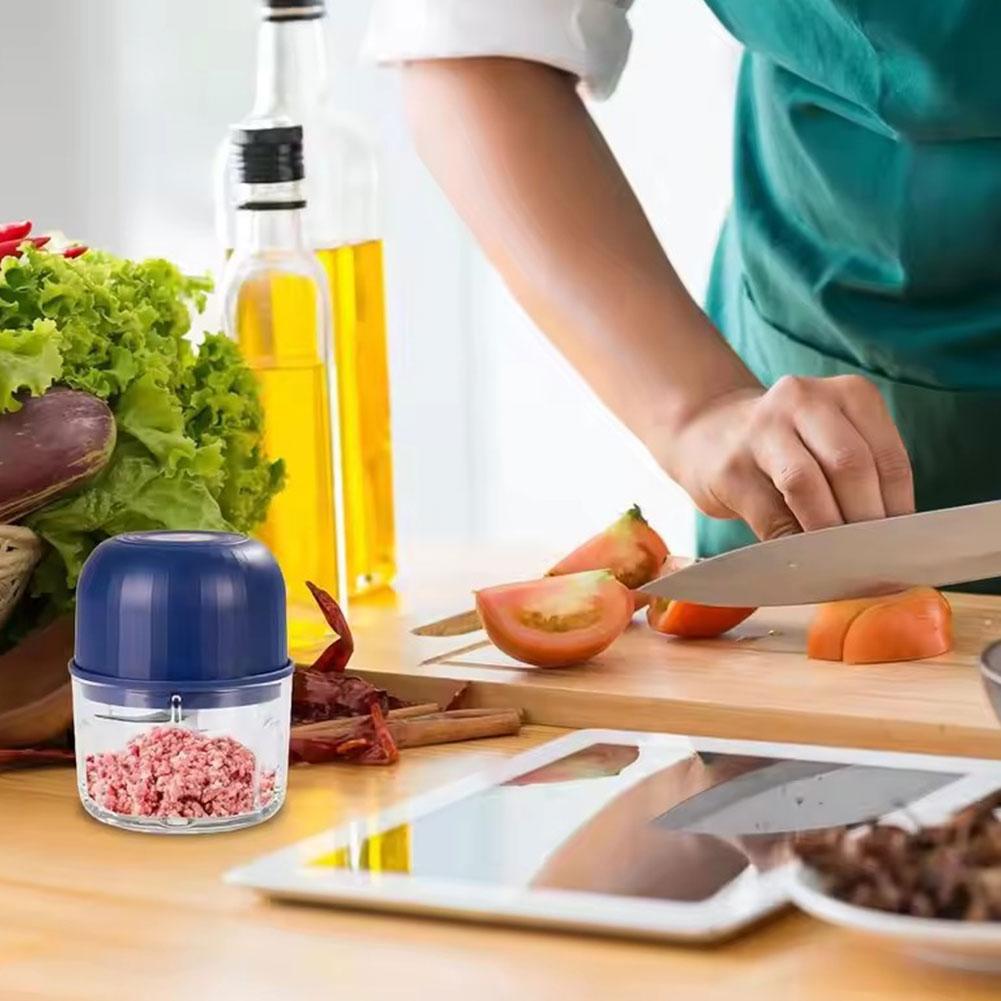 Mini Electric Garlic Chopper P - Kitchen Gadgets Electronic review and price