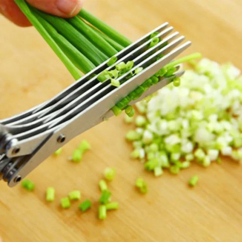 5 Blade Kitchen Scissors Scall - Herb Scissors 5 Blade review and price