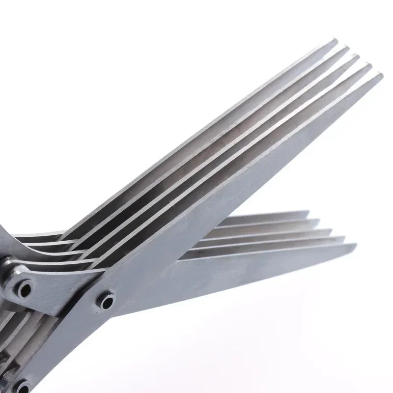 5 Blade Kitchen Scissors Scall - Herb Scissors 5 Blade review and price